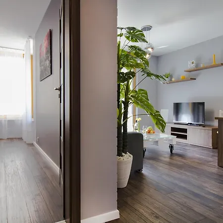 Masarska 克拉科夫