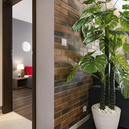 Masarska * 克拉科夫